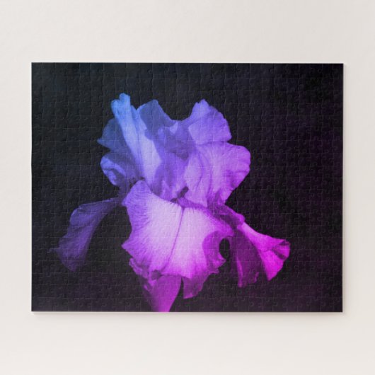 Helles Lila Iris Foto Puzzle (Horizontal)