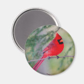 Helles Magnet Nord Kardinal (Vorderseite/Rückseite)