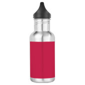 Helles Maroon (einfarbig) Edelstahlflasche (Links)