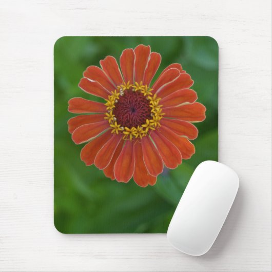 Helles orange Zinnia-Blumen-Blüte mousepad (Mit Mouse)