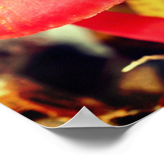 Helles Orangefarbenes Pilzpolster Nah nach oben Poster (Ecke)