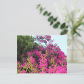 Helles Pink Bougainvillea Foto Postkarte (Stehend Vorderseite)