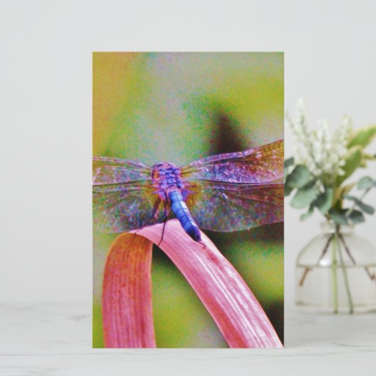 Helles Regenbogen Rosa Libelle Briefpapier (Stehend Vorderseite)
