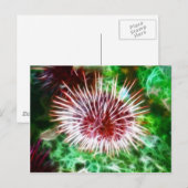 Helles Rotes Meer Urchin Postkarte (Vorne/Hinten)