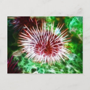 Helles Rotes Meer Urchin Postkarte