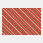 Helles Rotes Wasser Wassermelone Set Geschenkpapier Set (Vorderseite 3)