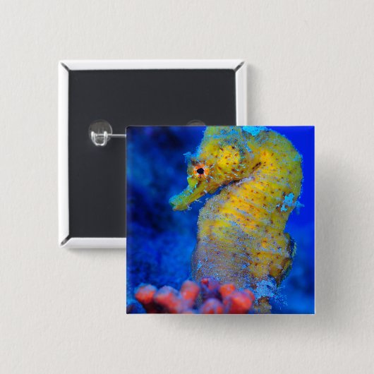 Helles Seepferd | Hippocampus Button (Vorne & Hinten)