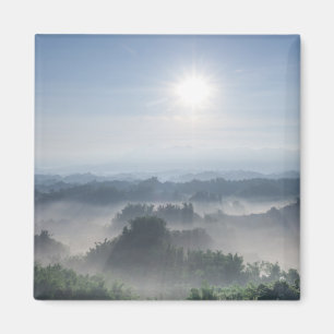 Helles Sonnenlicht in den Bambusbäumen Taiwan Magnet