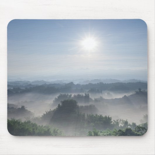 Helles Sonnenlicht in den Bambusbäumen | Taiwan Mousepad (Vorne)