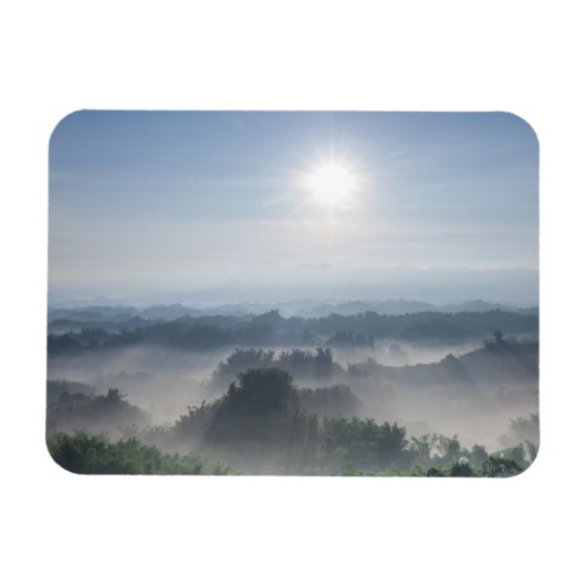 Helles Sonnenlicht in den Bäumen von Bambus | Taiw Magnet (Horizontal)