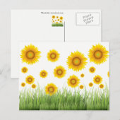 Helles und elegantes Sonnenblumendesign Postkarte (Vorne/Hinten)