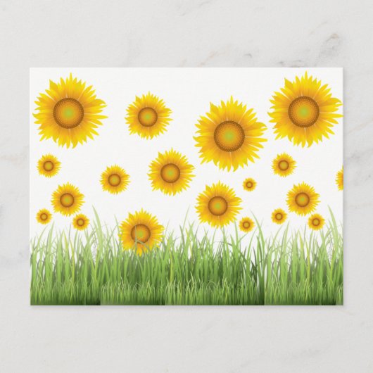 Helles und elegantes Sonnenblumendesign Postkarte (Vorderseite)