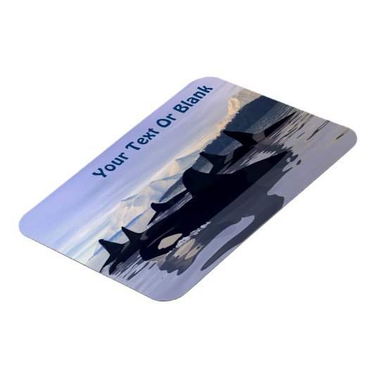 Helles Wasser Orca Magnet (Linke Seite)