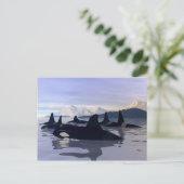 Helles Wasser Orca Postkarte (Stehend Vorderseite)