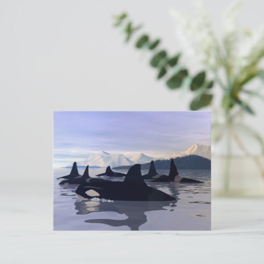 Helles Wasser Orca Postkarte (Stehend Vorderseite)