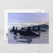 Helles Wasser Orca Postkarte (Vorne/Hinten)