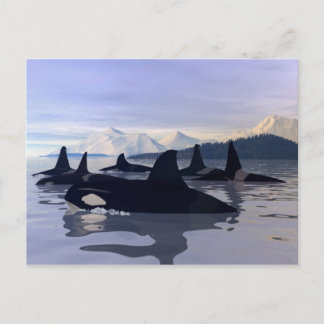 Helles Wasser Orca Postkarte