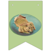 Hellfarbene Eier | OsterParty Wimpelkette (Erste Fahne)