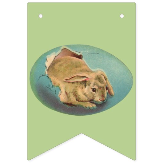 Hellfarbene Eier | OsterParty Wimpelkette (Erste Fahne)