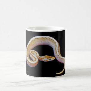 Hellfarbige Ball-Pythonschlange Kaffeetasse