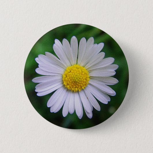 Hellgelb-weiß Button (Vorderseite)