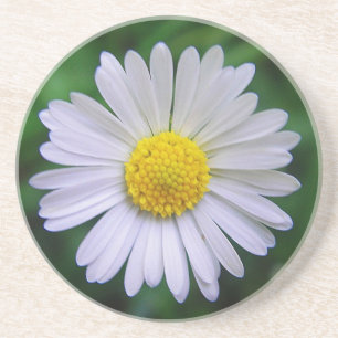 Hellgelb-weiß Getränkeuntersetzer