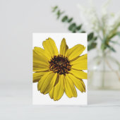 Hellgelbe Blume, Daisy Postkarte (Stehend Vorderseite)
