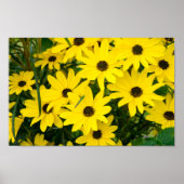 Hellgelbe Blumen Poster (Vorne)