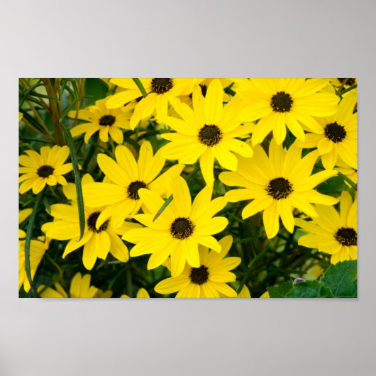 Hellgelbe Blumen Poster (Vorne)