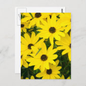 Hellgelbe Blumen Postkarte (Vorne/Hinten)