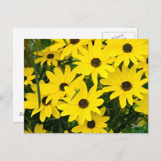 Hellgelbe Blumen Postkarte (Vorne/Hinten)