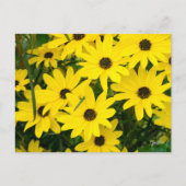 Hellgelbe Blumen Postkarte (Vorderseite)
