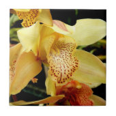 Hellgelbe Cymbidium-Orchideen-Keramik-Fliese Fliese (Vorderseite)