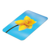 Hellgelbe Daffodin Magnet (Linke Seite)