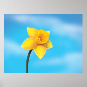 Hellgelbe Daffodin Poster