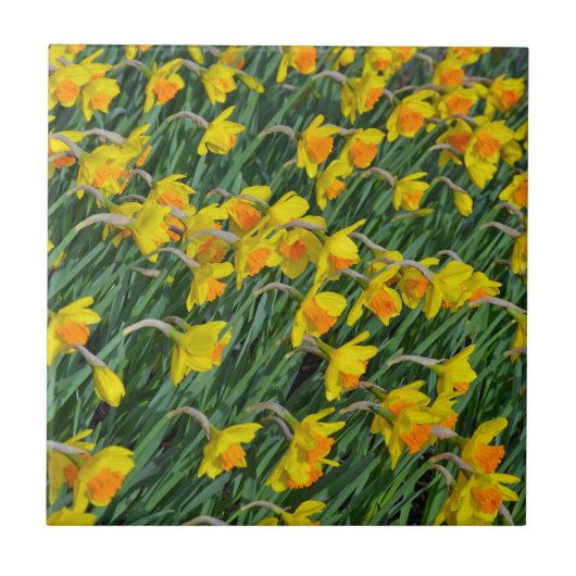 Hellgelbe Frühlingsgarten Fliese (Vorderseite)
