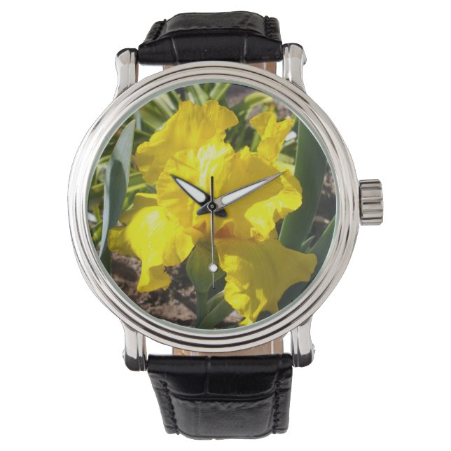 Hellgelbe Iris, Armbanduhr (Vorderseite)