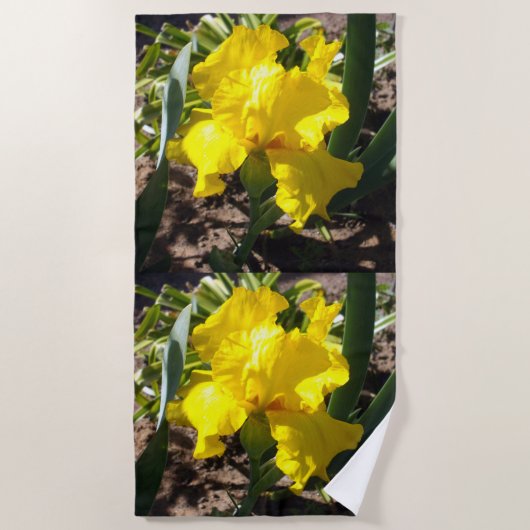 Hellgelbe Iris-Blume, Badetuch (Vorderseite)