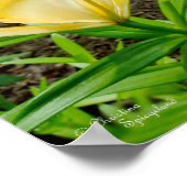 Hellgelbe Lilien-Poster Poster (Ecke)