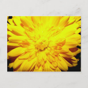 Hellgelbe Mamma-Postkarte Postkarte