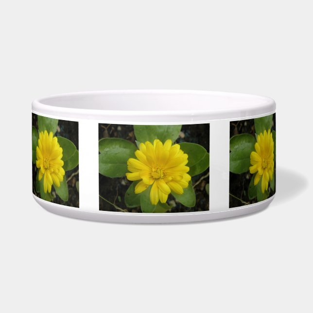 Hellgelbe Marigold Dog Bowl Napf (Vorderseite)