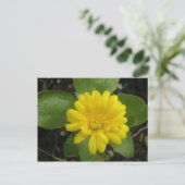 Hellgelbe Marigold Postkarte (Stehend Vorderseite)