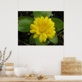 Hellgelbe Marigold Print Poster (Küche)