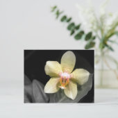 Hellgelbe Orchidee Postkarte (Stehend Vorderseite)