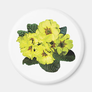 Hellgelbe Primeln Magnet