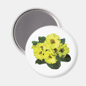 Hellgelbe Primrosen Magnet (Vorderseite/Rückseite)