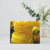 Hellgelbe Ranunculus-Blume Postkarten (Stehend Vorderseite)