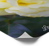 Hellgelbe Rose Poster (Ecke)