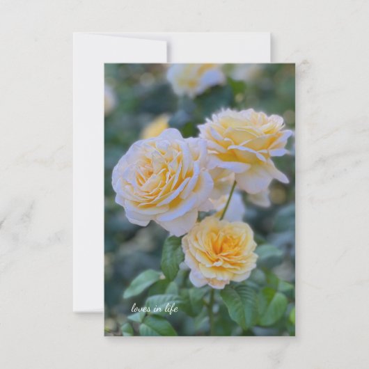 Hellgelbe Rosen Mitteilungskarte (Vorderseite)