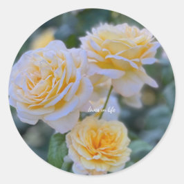 Hellgelbe Rosen Runder Aufkleber